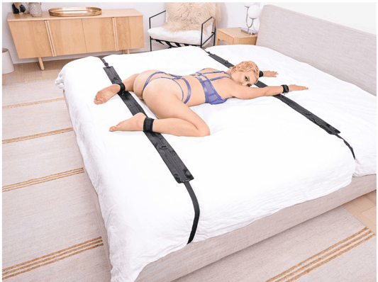 No Matter Where Restraint System